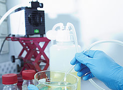 KNF laboratoriumpompen zijn ideaal voor destillatietoepassingen dankzij de instelbare regeling van het vacuüm.