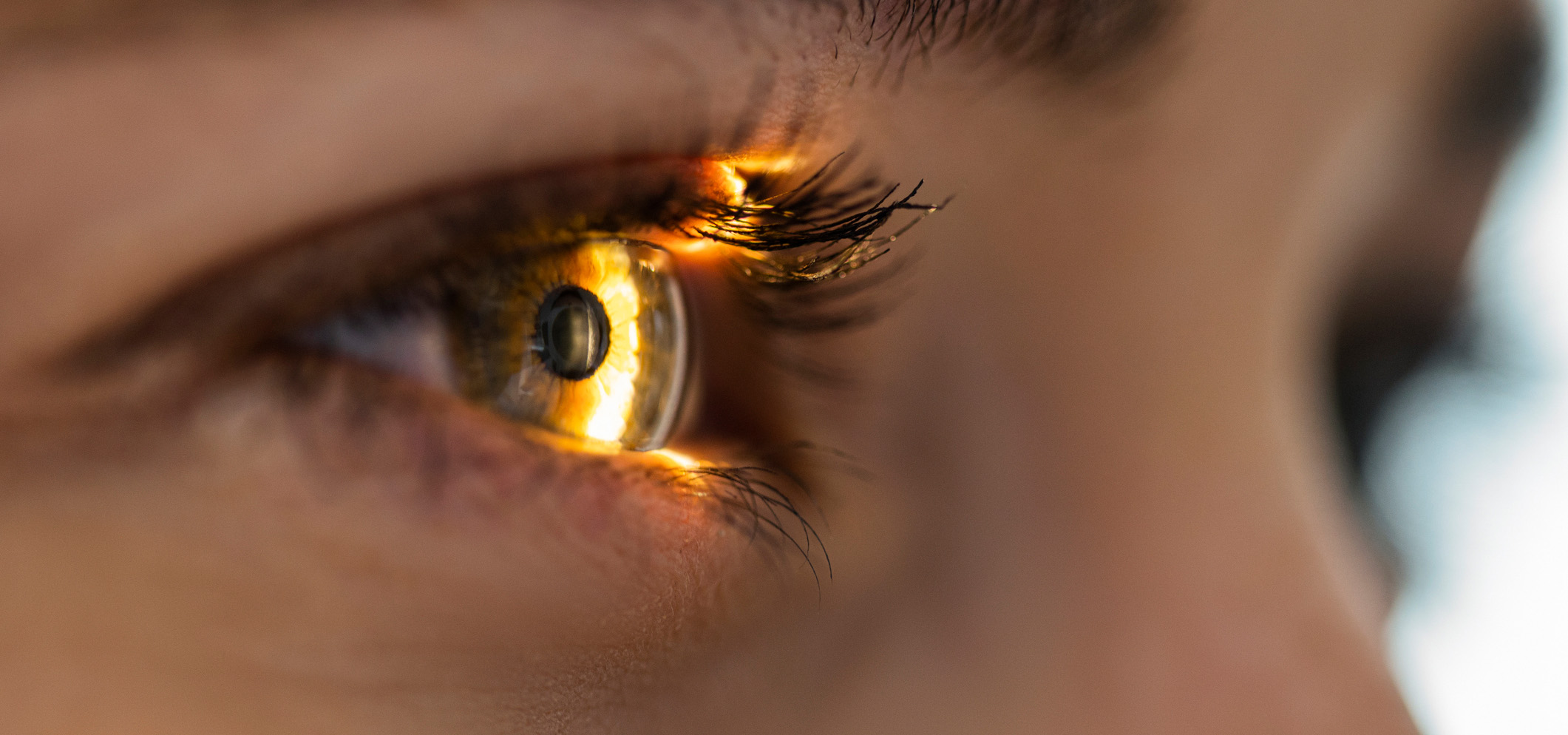 Warum KNF Vakuumpumpen für die Kataraktchirurgie unverzichtbar sind