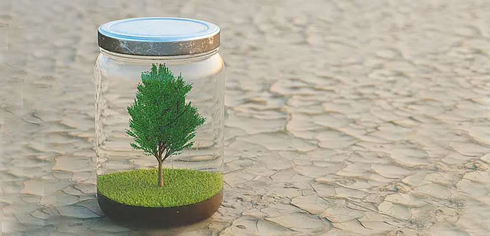 A symbolic image for environmental protection shows a tree in a sealed jar