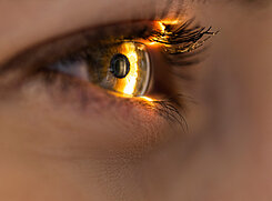 Cataract Blog