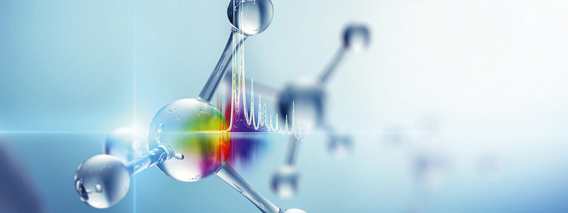 The molecular structure of caffeine