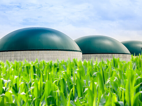 Anerobic digesters allow manure to be stored in low-oxygen environments. This reduces greenhouse gas emissions and allows for the generation of biogas, which can be further upgraded.